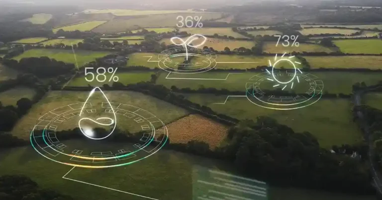 Is Google Ai Bad For The Environment? Is Google Ai Bad For The Environment?